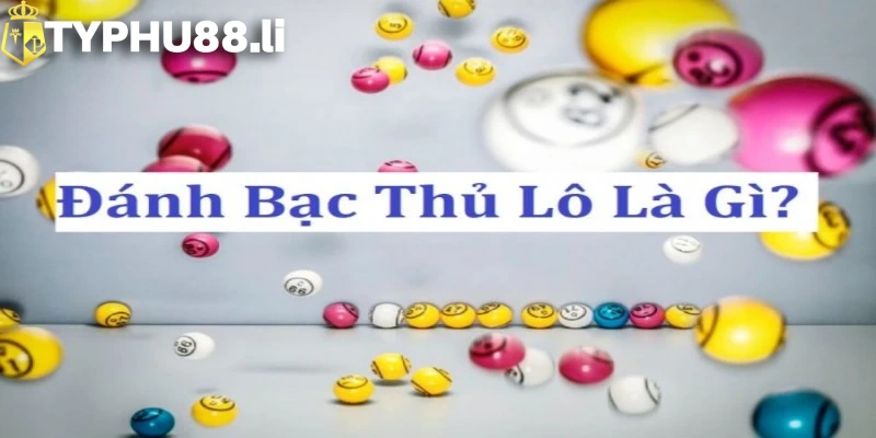 Bạch thủ lô là gì?